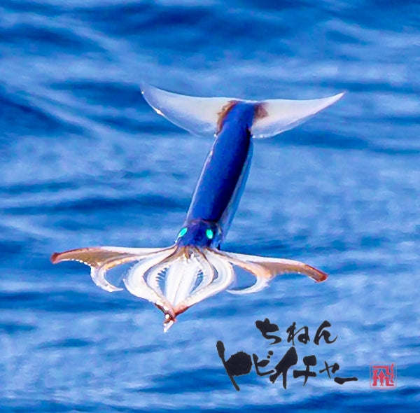 トビイカ